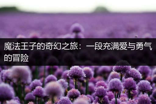 魔法王子的奇幻之旅：一段充满爱与勇气的冒险