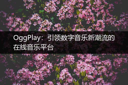 OggPlay：引领数字音乐新潮流的在线音乐平台