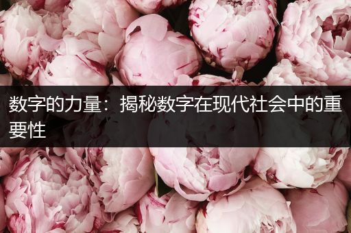 数字的力量：揭秘数字在现代社会中的重要性