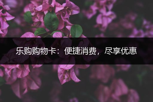 乐购购物卡：便捷消费，尽享优惠