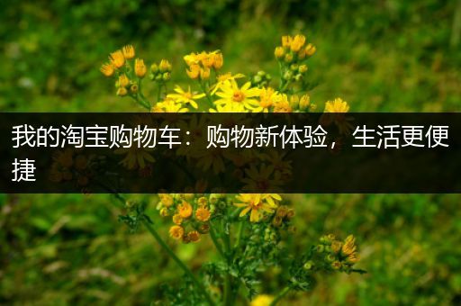 我的淘宝购物车：购物新体验，生活更便捷