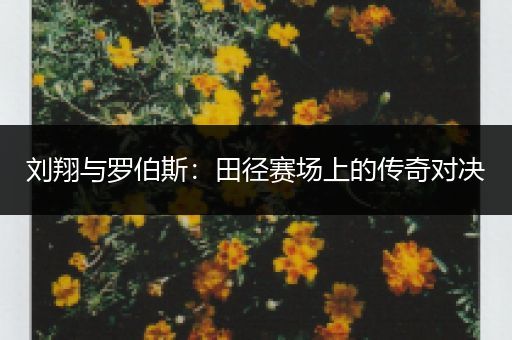 刘翔与罗伯斯：田径赛场上的传奇对决