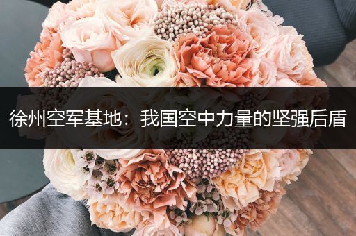 徐州空军基地：我国空中力量的坚强后盾
