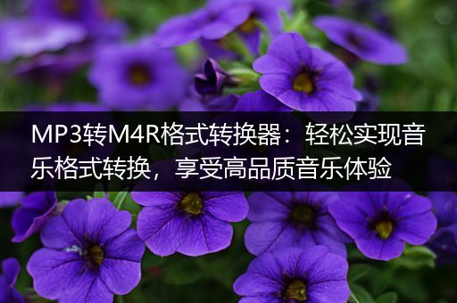 MP3转M4R格式转换器：轻松实现音乐格式转换，享受高品质音乐体验