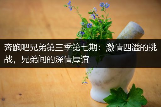 奔跑吧兄弟第三季第七期：激情四溢的挑战，兄弟间的深情厚谊