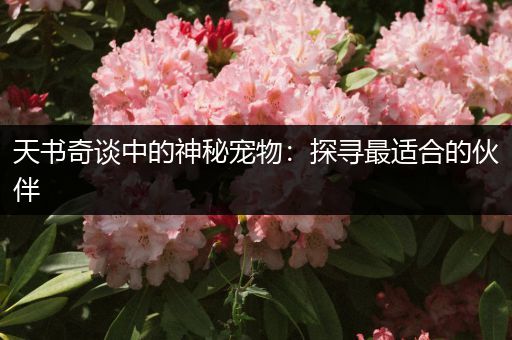 天书奇谈中的神秘宠物：探寻最适合的伙伴