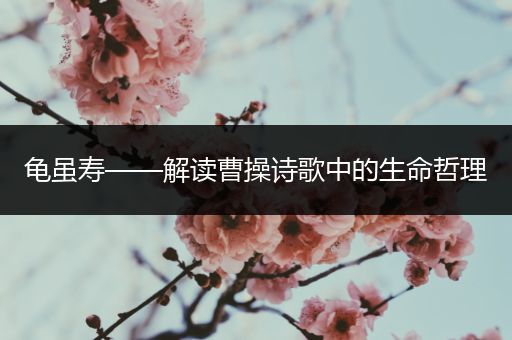 龟虽寿——解读曹操诗歌中的生命哲理