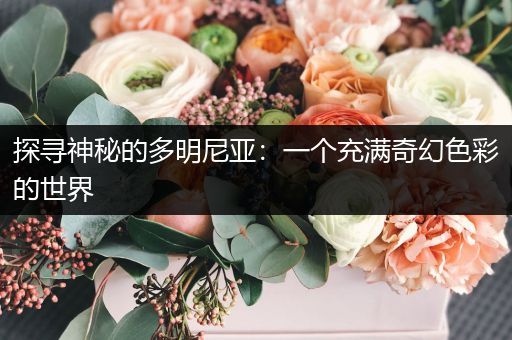 探寻神秘的多明尼亚：一个充满奇幻色彩的世界