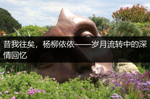 昔我往矣，杨柳依依——岁月流转中的深情回忆