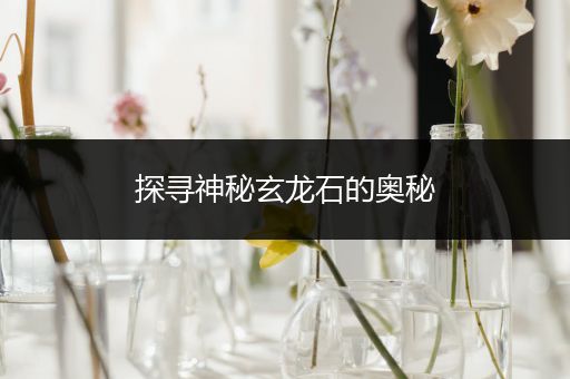 探寻神秘玄龙石的奥秘