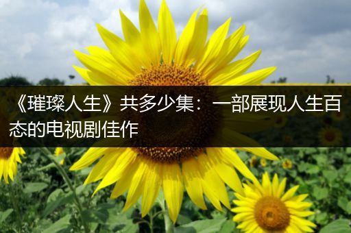 《璀璨人生》共多少集：一部展现人生百态的电视剧佳作