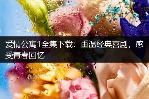 爱情公寓1全集下载：重温经典喜剧，感受青春回忆