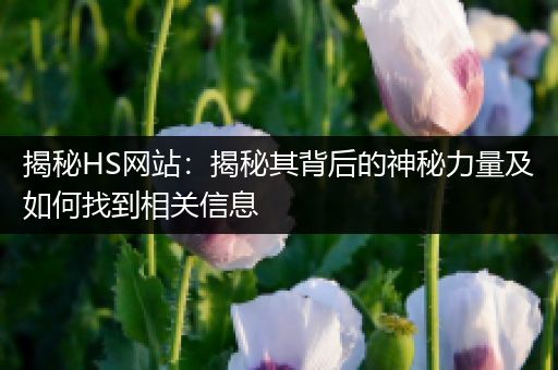 揭秘HS网站：揭秘其背后的神秘力量及如何找到相关信息