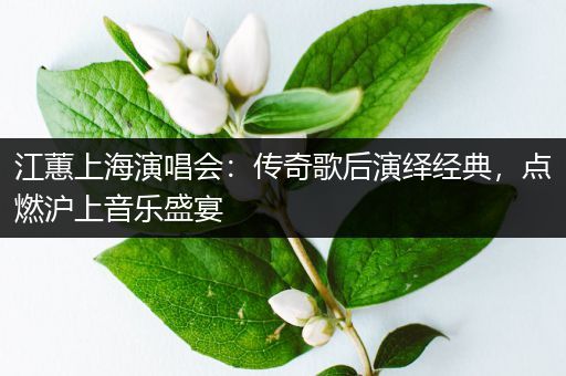 江蕙上海演唱会：传奇歌后演绎经典，点燃沪上音乐盛宴