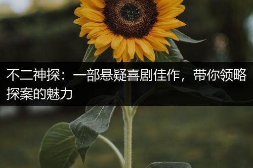不二神探：一部悬疑喜剧佳作，带你领略探案的魅力