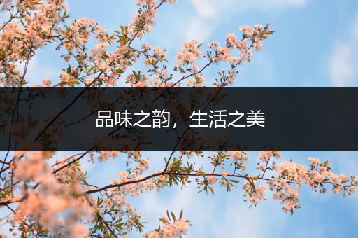 品味之韵，生活之美