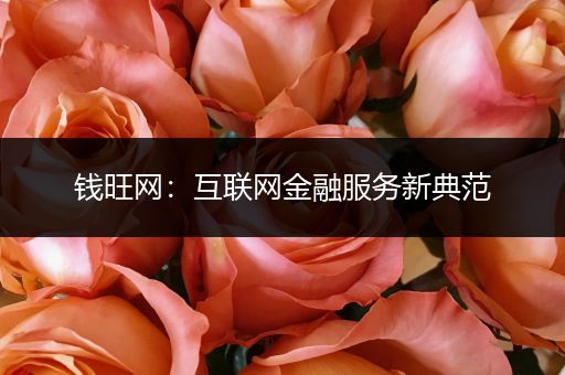 钱旺网：互联网金融服务新典范