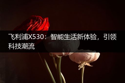 飞利浦X530：智能生活新体验，引领科技潮流