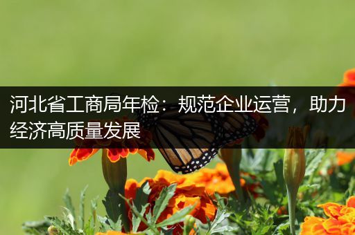 河北省工商局年检：规范企业运营，助力经济高质量发展