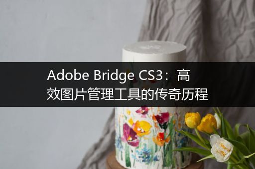 Adobe Bridge CS3：高效图片管理工具的传奇历程