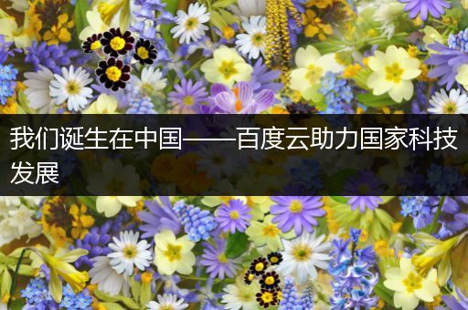 我们诞生在中国——百度云助力国家科技发展