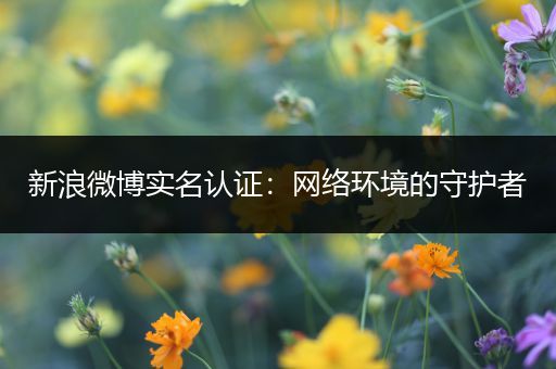 新浪微博实名认证：网络环境的守护者