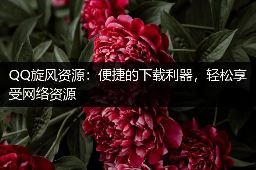QQ旋风资源：便捷的下载利器，轻松享受网络资源