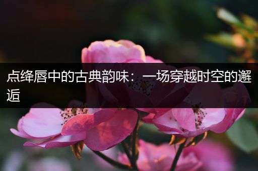 点绛唇中的古典韵味：一场穿越时空的邂逅