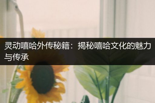 灵动嘻哈外传秘籍：揭秘嘻哈文化的魅力与传承