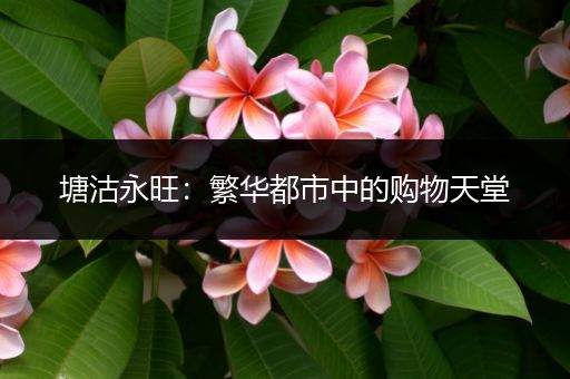 塘沽永旺：繁华都市中的购物天堂