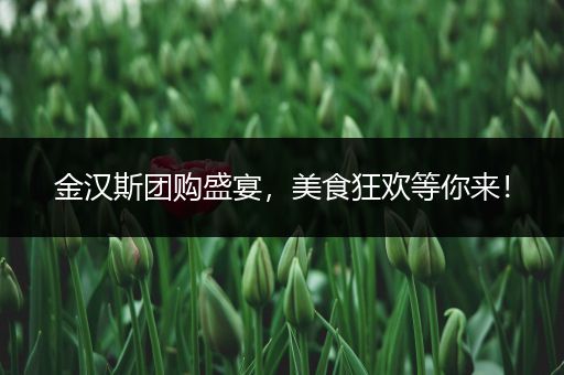 金汉斯团购盛宴，美食狂欢等你来！