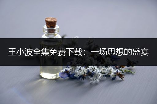王小波全集免费下载：一场思想的盛宴