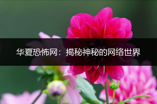 华夏恐怖网：揭秘神秘的网络世界