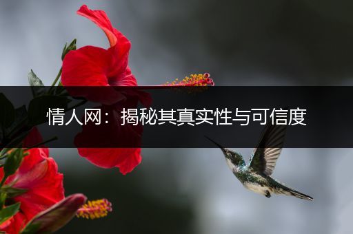 情人网：揭秘其真实性与可信度