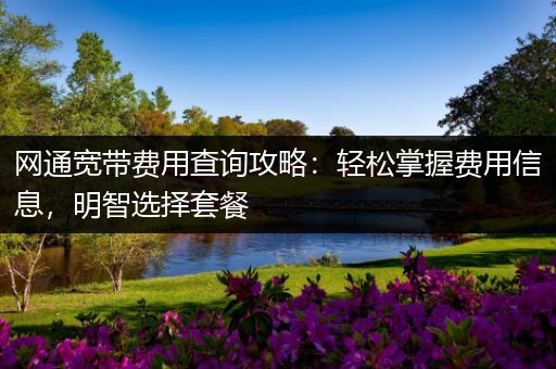 网通宽带费用查询攻略：轻松掌握费用信息，明智选择套餐
