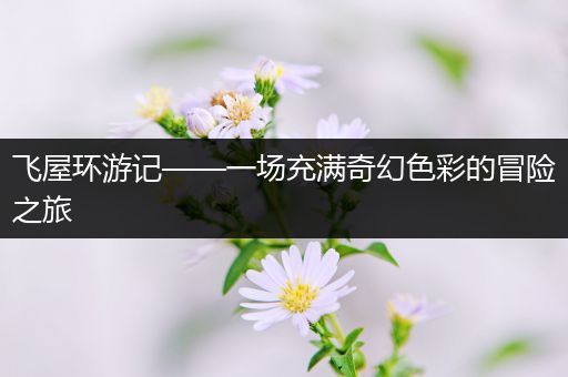 飞屋环游记——一场充满奇幻色彩的冒险之旅