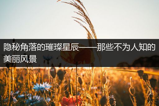 隐秘角落的璀璨星辰——那些不为人知的美丽风景