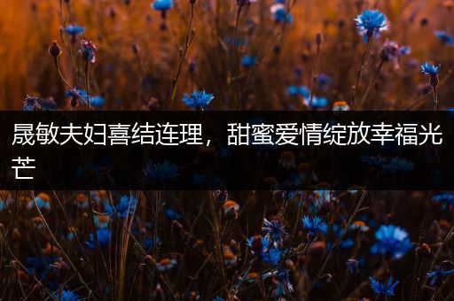 晟敏夫妇喜结连理，甜蜜爱情绽放幸福光芒