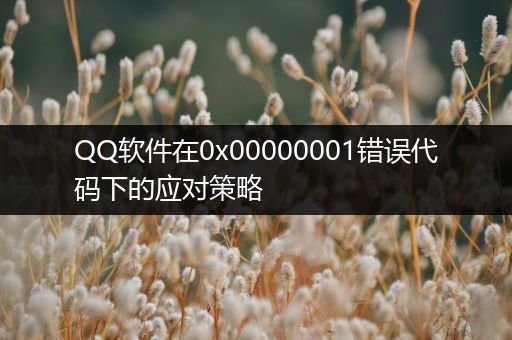 QQ软件在0x00000001错误代码下的应对策略
