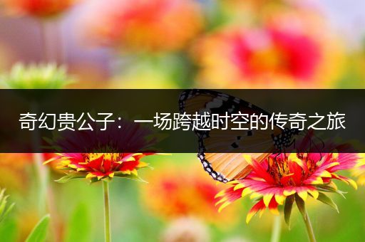 奇幻贵公子：一场跨越时空的传奇之旅