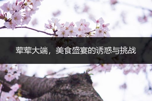 荤荤大端，美食盛宴的诱惑与挑战