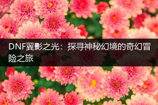 DNF翼影之光：探寻神秘幻境的奇幻冒险之旅
