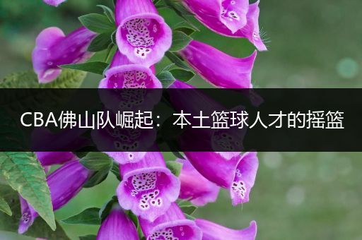 CBA佛山队崛起：本土篮球人才的摇篮