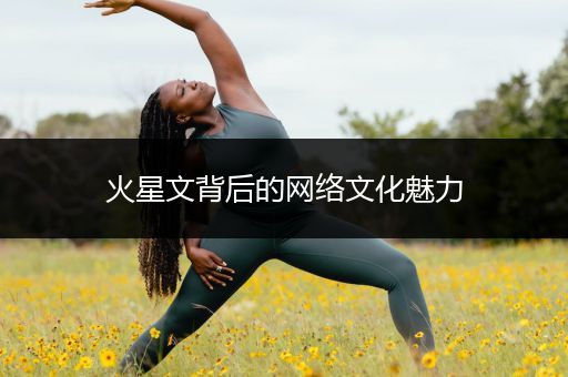 火星文背后的网络文化魅力