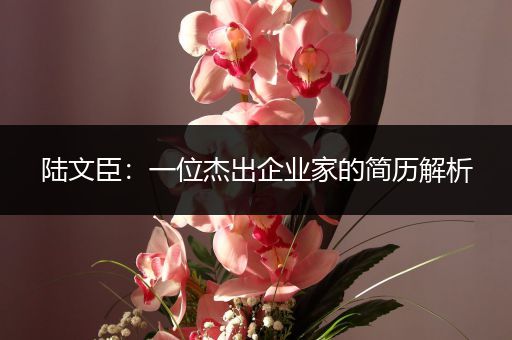 陆文臣：一位杰出企业家的简历解析