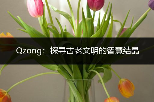 Qzong：探寻古老文明的智慧结晶