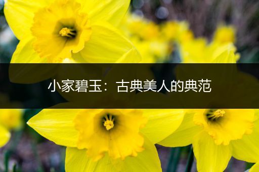 小家碧玉：古典美人的典范