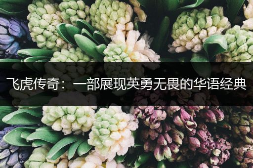 飞虎传奇：一部展现英勇无畏的华语经典