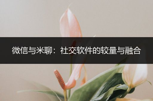 微信与米聊：社交软件的较量与融合