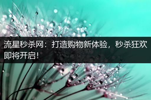流星秒杀网：打造购物新体验，秒杀狂欢即将开启！